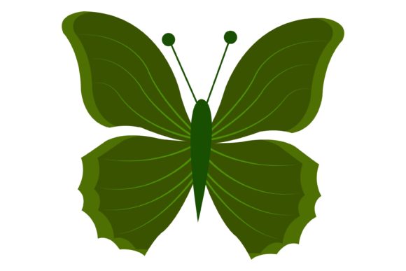 Download Beautiful Butterfly Illustration - Butterfly illustration Collection