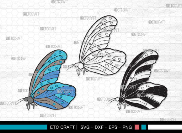 Download Butterfly Clipart SVG |Butterfly Stencil - Butterfly stencil Collection