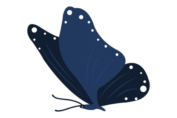Download Beautiful Butterfly Illustration - Butterfly illustration Collection