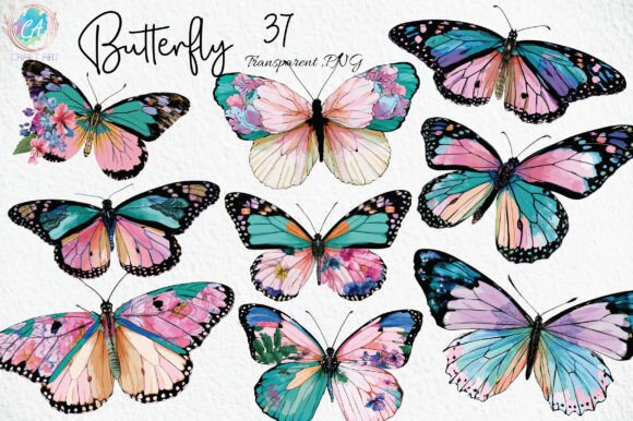 Download Butterfly Illustration PNG Bundle - Butterfly illustration Collection