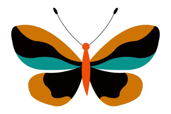 Download Butterfly Illustration - Butterfly illustration Collection