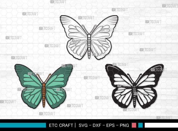 Download Butterfly Clipart SVG |Butterfly Stencil - Butterfly stencil Collection