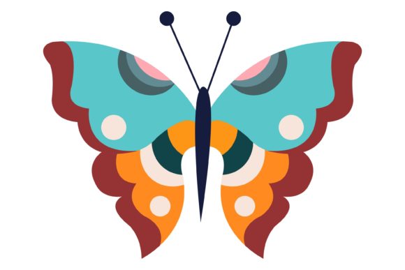 Download Beautiful Butterfly Illustration - Butterfly illustration Collection