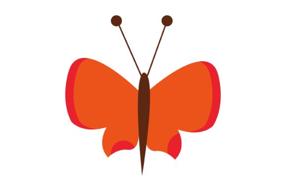 Download Beautiful Butterfly Illustration - Butterfly illustration Collection